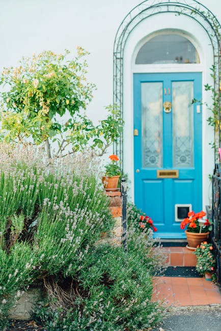 A charming front garden featuring a vibrant blue wooden door with a brass mail slot and a decorative arched window above. The area is adorned with potted plants, including bright red flowers near the doorstep, and a small tree with light green foliage on the left side. Surrounding the entryway are lush, well-maintained garden beds filled with lavender bushes that exhibit dense, silvery-green leaves and small purple flowers, alongside other leafy plants. The garden has a neatly laid brick pathway leading directly to the door, bordered by the textured, moist soil and various textured leaves. Bright natural light illuminates the scene, highlighting the fresh, trimmed hedges and the healthy, green grass area in the background. Visible gardening tools or maintenance signs are not present, but the overall appearance suggests ongoing garden maintenance by local gardeners. The garden’s layout and plant selection reflect thoughtful landscaping work ideal for a welcoming front outdoor space as featured on gardenersdocklands.org.uk.