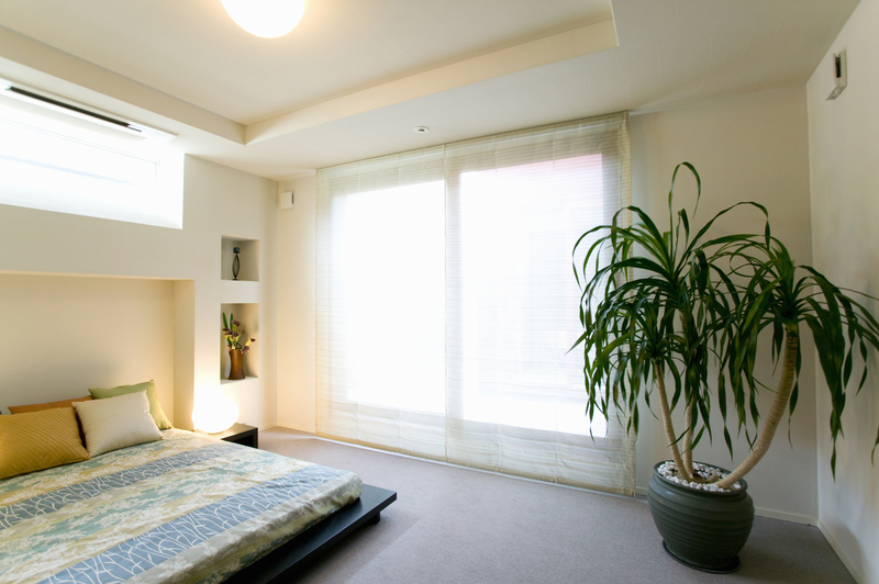 Hedge trimming hedge cutting