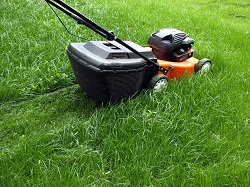 Affordable Lawn Services in Docklands, SE16